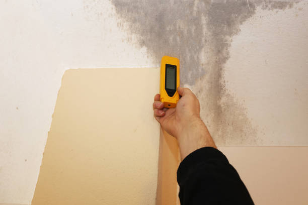 Professional Mold Inspection, Removal & Remediation in Enid, OK